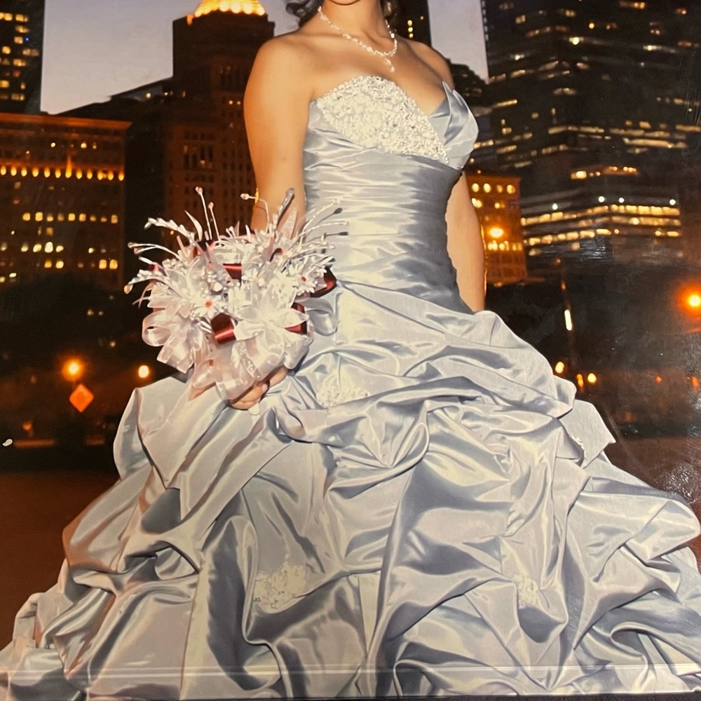 Bella Será Quinceañera dress, Custom made, Two piece, Corset top, Worn Once
